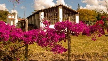 Caminhos do frio 2025  Areia, Bananeiras, Alagoa Grande